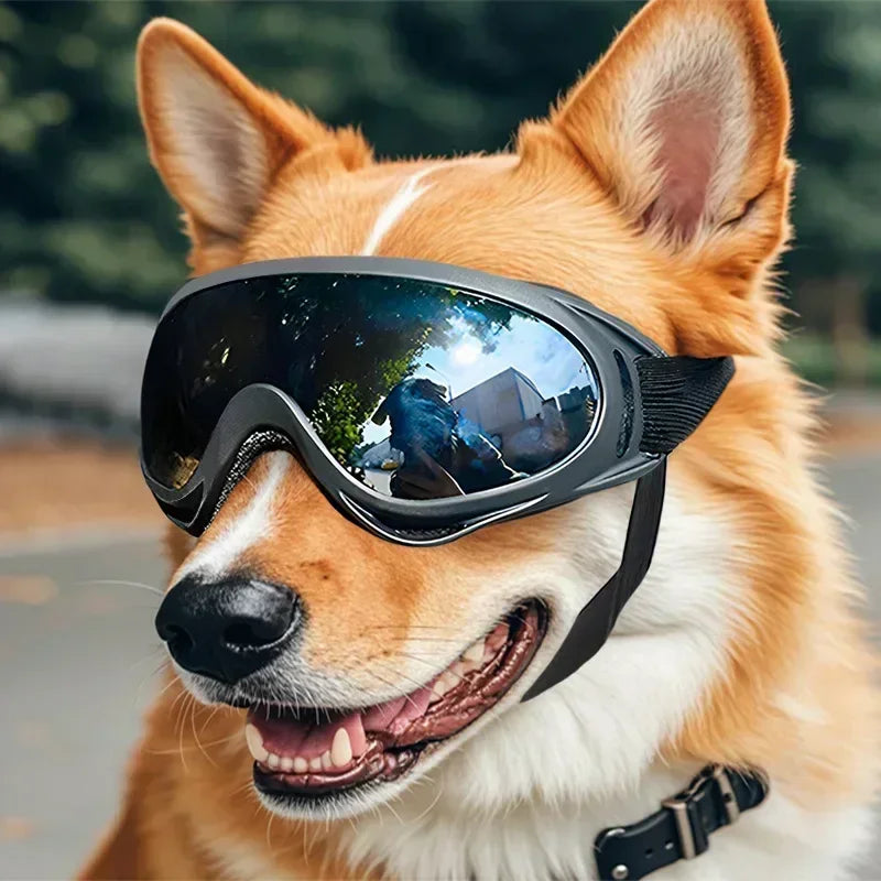 All-Adventure Pet Goggles: Professional Anti-UV, Windproof & Anti-Glare Sunglasses for Dogs