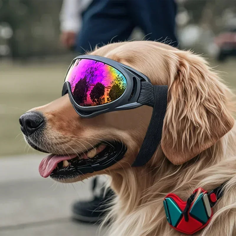 All-Adventure Pet Goggles: Professional Anti-UV, Windproof & Anti-Glare Sunglasses for Dogs