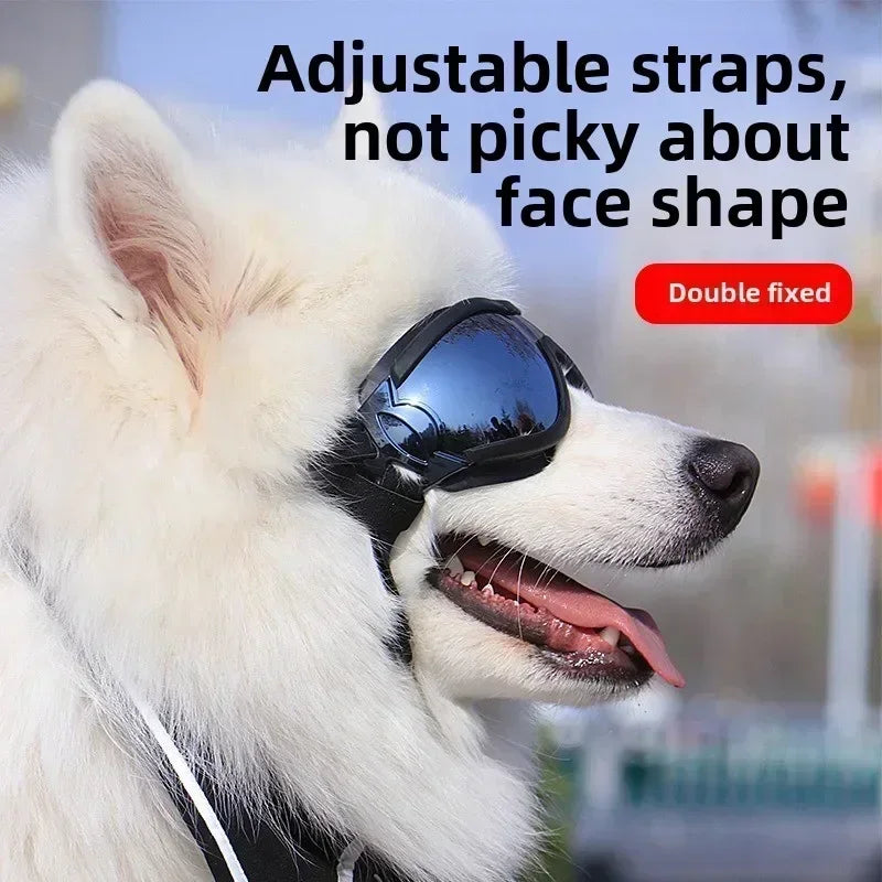 All-Adventure Pet Goggles: Professional Anti-UV, Windproof & Anti-Glare Sunglasses for Dogs